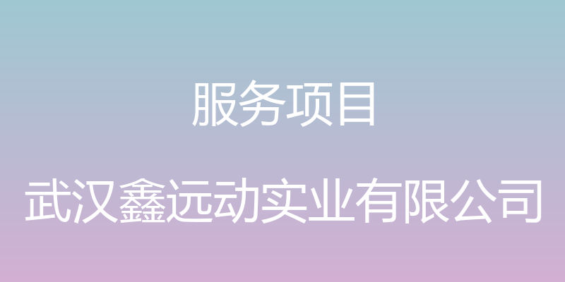 服务项目 - 武汉鑫远动实业有限公司