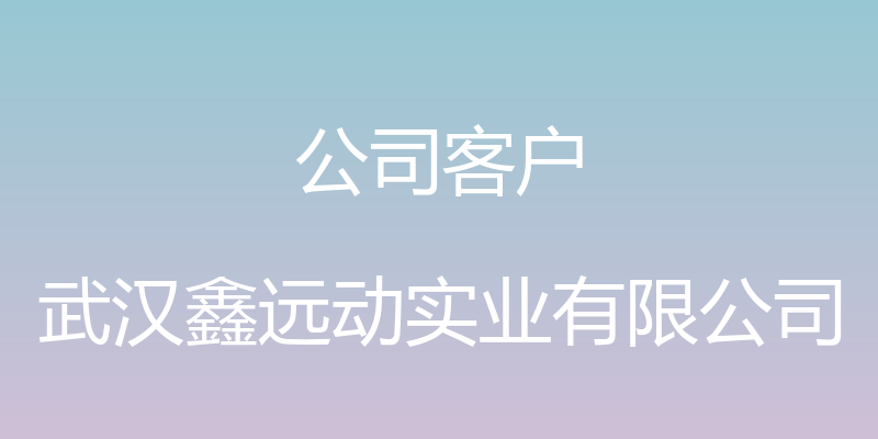 公司客户 - 武汉鑫远动实业有限公司